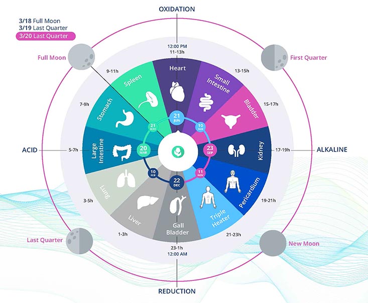 HealAdvisor Bioenergetic Vitalization, healAdvisor bioenergetic vitalization, group, groups, Group, Groups, Apps USA, Healy, Member, Store, Shop Healy Device Prices Cost, modules, healy programs, healy apps, Program Group, program group, Program Groups, program groups, healy app